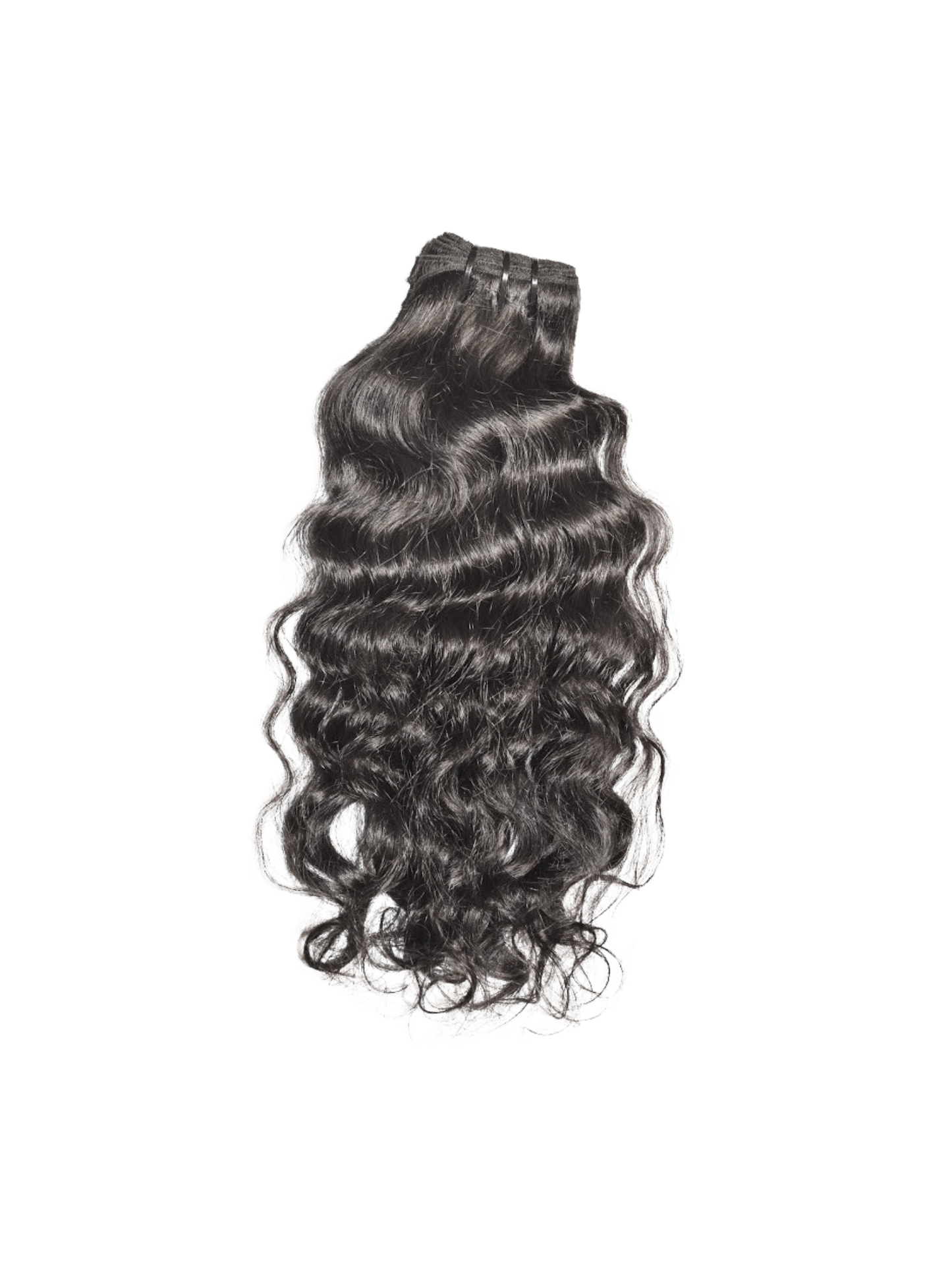 INDIAN CURLY